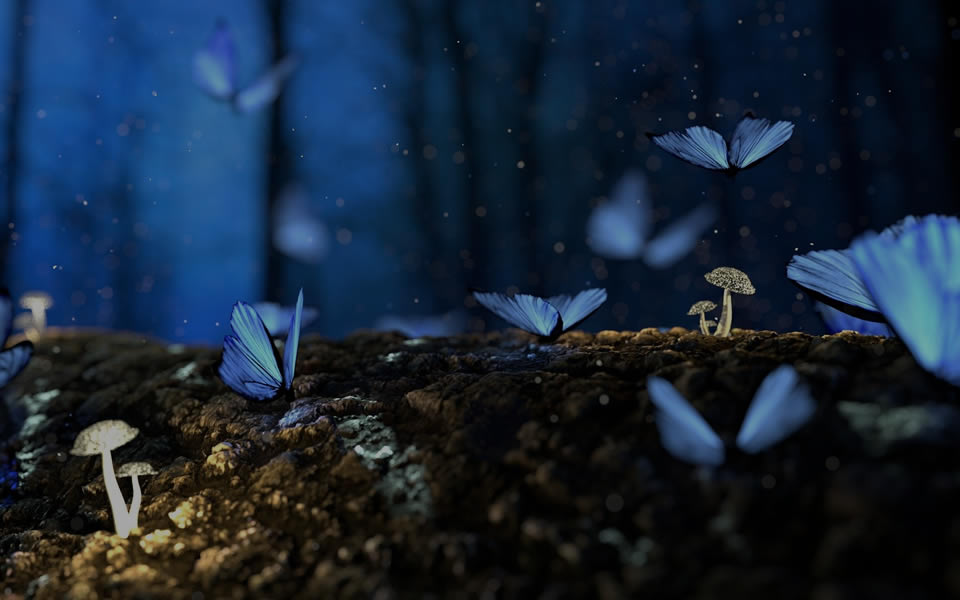 サンプルイメージ